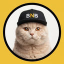 BNBCatX