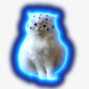 fomocat