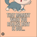 rent cat