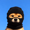 Rogue Inu