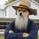 Amish Inu