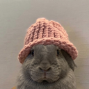 chunguswifhat