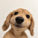 BUD