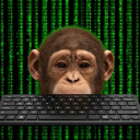 Code Monkey