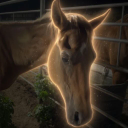 Save Hattie