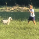 The Goose Killer