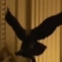 The Golden Eagle