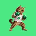 Pumpfun cat