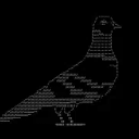 Pigeon Coin