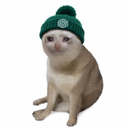Cash Cat GPT