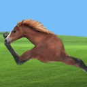 Runner