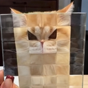 Pixel Cat
