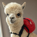 BACKPACA
