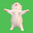 Dancing Cat