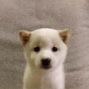 tod