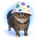Stack Cat