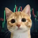 STONKCAT
